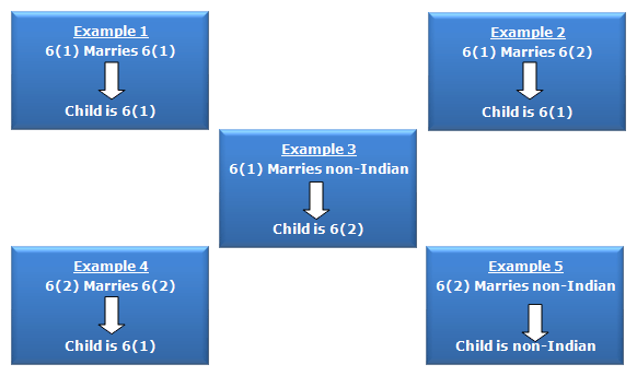 A graphic showing the effects of Bill C-31 A graphic showing the effects of Bill C-31